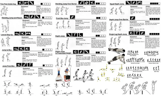 Master Calisthenics Exercises with Our Comprehensive PDF Guide